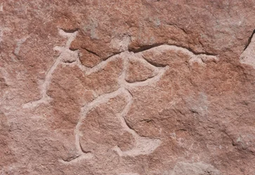 Pona Petroglyphen an den Klippen am Loa-Fluss